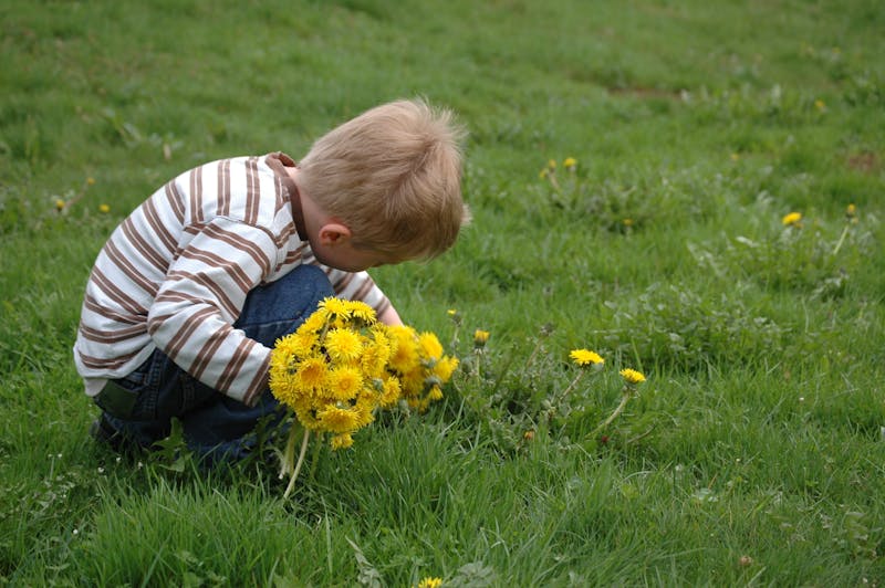 Baby Boy Photo