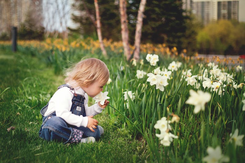 Baby Boy Photo